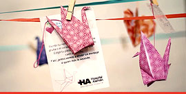 Cumplimos los 1000 trasplantes