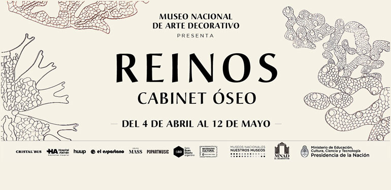 Reinos por Cabinet Óseo