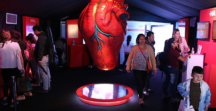 La muestra “Corazón de Mujer” fue un éxito