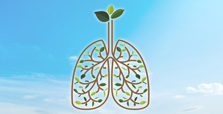 ¿Cómo dejar de fumar y disfrutar de nuestros pulmones libres de humo?