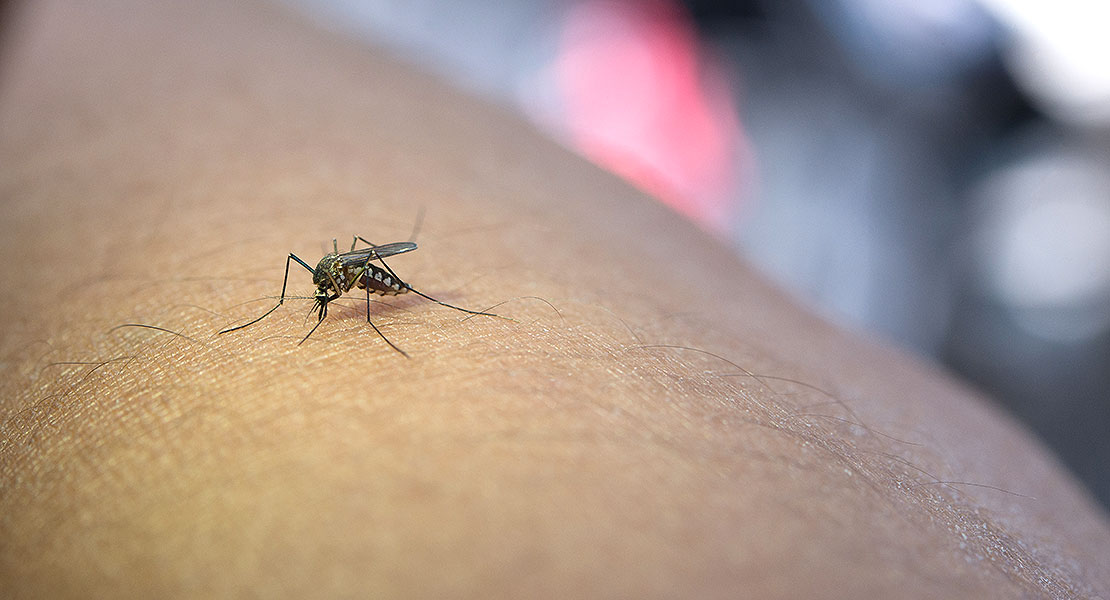 Medidas de prevención contra el dengue