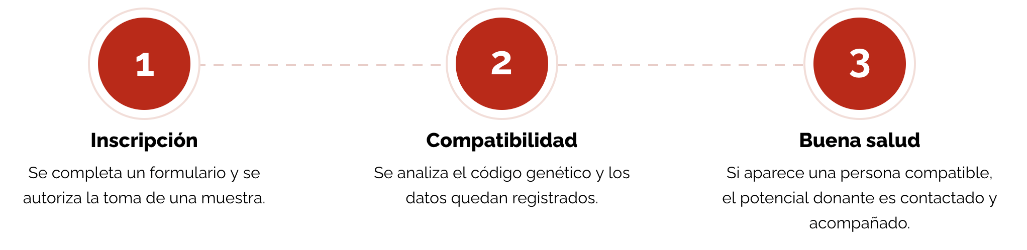 Donar médula ósea
